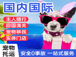 营口兰旗机场邮寄国际宠物托运 【国